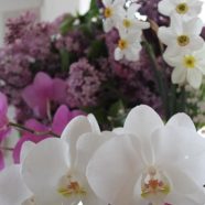 Áprilisi havazás – orgona, nárcisz és gyöngyvirág illattal